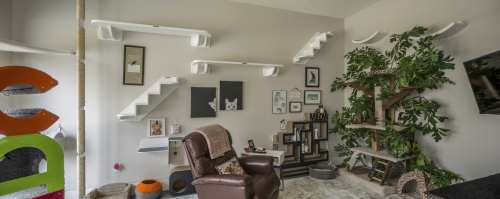 gilbert_20180406_8786-87-88